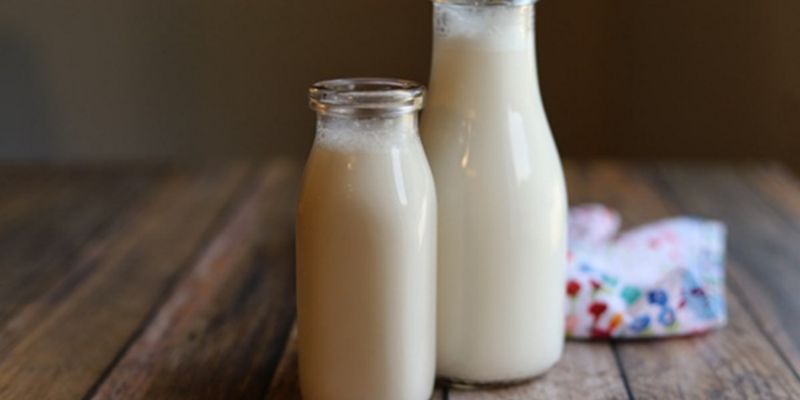 Có phải sữa gián là sự lựa chọn hoàn hảo?