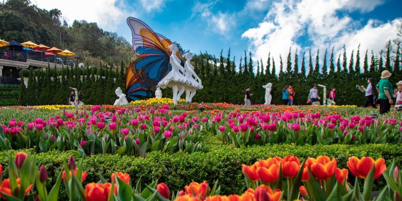 Lễ hội hoa tulip nằm trong sự kiện triển lãm hoa lớn nhất trên toàn thế giới tại Hà Lan