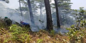 Đám cháy rừng ở đèo Prenn
