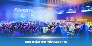 Thư Viện Esports