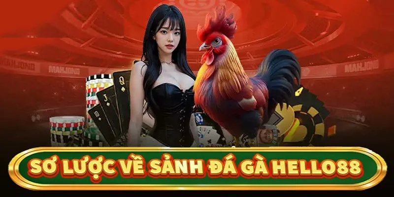 Giới thiệu đá gà Hello88 hấp dẫn 